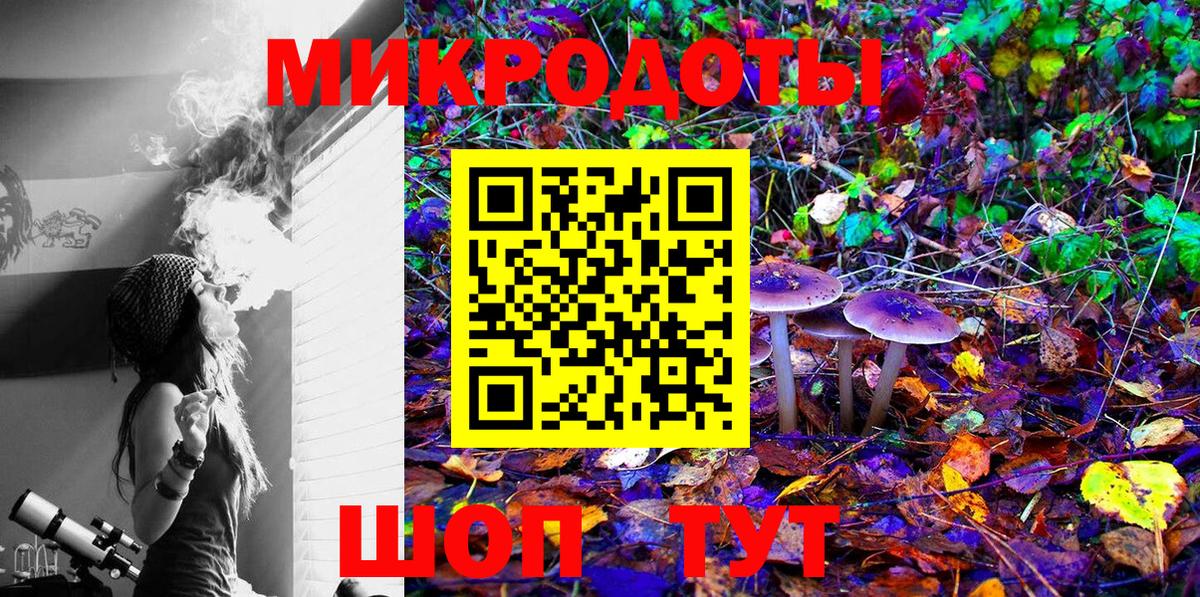 Галлюциногенные грибы GOLDEN TEACHER Черняховск